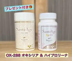 ニナファーム サンテアージュ OX-288 ハイプロリーナ 2点セット