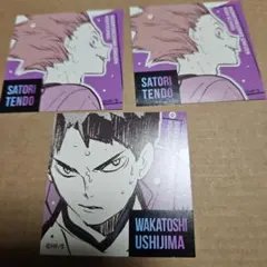 ハイキュー スクエアステッカーコレクション 牛島若利 天童覚