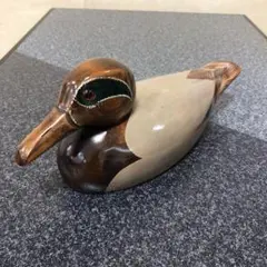 デゴイ　トモエガモ