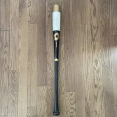 千葉ロッテマリーンズ