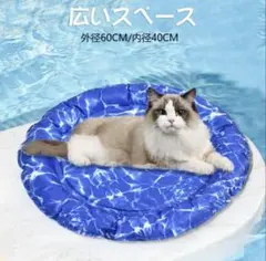 Item thumbnail for item bf166bde-eaca-4b6c-8133-fe07ddc84ef0