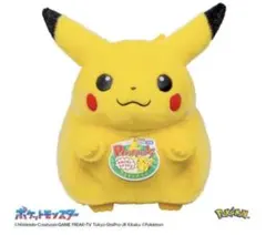 ポケットモンスター ポケモン30周年記念 おかえり！ピカチュウ1/1
