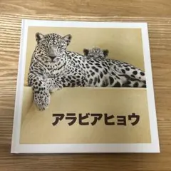 2025年最新】サウジ_アラビアの人気アイテム - メルカリ