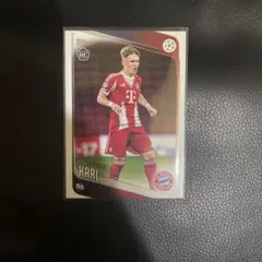 Item thumbnail for item 5f6b51a9-f85e-4364-86e0-295abc499fe3