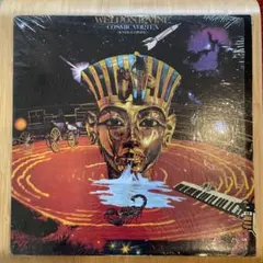 Weldon Irvine LP 2枚セット Sinbad Cosmic - メルカリ