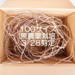 Item thumbnail for item 92a9d0eb-8226-4152-8b7e-99a7a9bead78