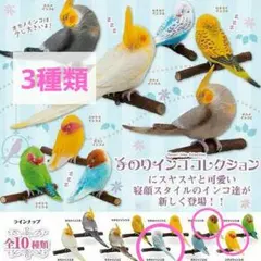 手のりインココレクション3種類