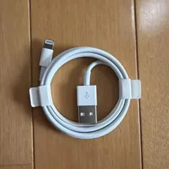 Apple 正規品 充電ケーブル