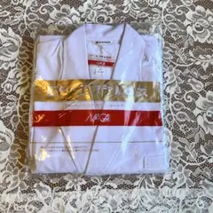 Item thumbnail for item dd925e81-c4ce-4773-be85-095093ece59c