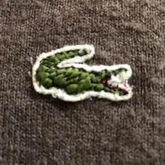 LACOSTE ブラウン Vネックセーター M