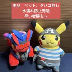d*3様 ☆レア？ポケモン ゾロア＆ゾロアーク 当時物 ぬいぐるみ