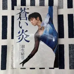 Item thumbnail for item 65272d68-bc8b-4d85-8e09-54bdd14e817d