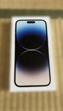 【純正ケーブル付】iPhone 14 Pro Max 1TB シルバー 空箱