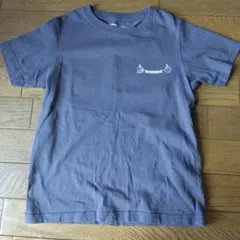 Item thumbnail for item 97561c42-0ede-46a0-a086-735bfe110008