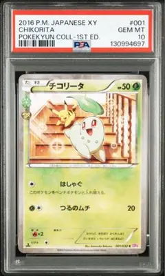 2025年最新】チコリータ psa10の人気アイテム - メルカリ