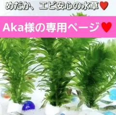 Aka様の専用ページ