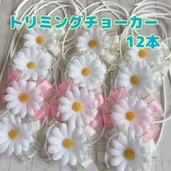 Item thumbnail for item 16df4341-8637-4a82-a576-d8b825b5d8a3