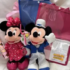 ミッキー ミニー ディズニー電報ぬいぐるみ セット