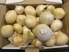 新鮮‼︎奈良県産　ジャンボニンニク　5キロ‼︎無農薬のサムネイル
