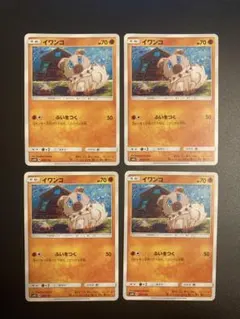 イワンコ Tomokazu Komiya 4枚セット