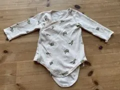 Item thumbnail for item 50aeb0bf-c9c5-4d2f-9885-87d52a8c0b82