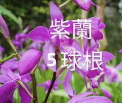 ユウカリ様 リクエスト 3点 まとめ商品