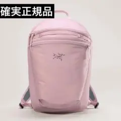 2026年最新】アークテリクス ヒリアド10の人気アイテム - メルカリ