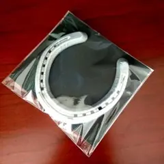 【本物の蹄鉄】馬蹄