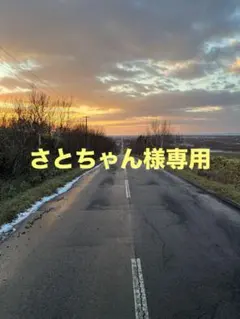 さとちゃん様　専用　ベリー1、バニラ1