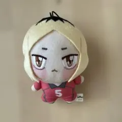 ハイキュー！！ちょぴぬいぷち 孤爪研磨