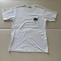 Item thumbnail for item 8b598612-d846-4b02-830d-2cdcfb185556