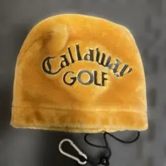 Item thumbnail for item 6284ea28-d8f3-475c-9e60-0c518ba0afaa