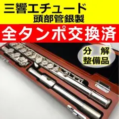 Puny Tune 木製 4穴 13音 pocket flute 中古 Puny Tune 木製 4穴 13音 pocket flute 中古 Amazon | 口 木