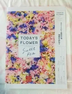 Item thumbnail for item 94f79701-c67f-4078-a382-7e1333fd66f8