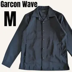 Item thumbnail for item 70de2d34-34f0-4a9c-af07-506d20fcf2fa