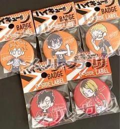 [新品] ハイキュー デフォ缶バッジ 5種セット