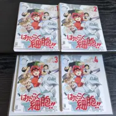 はたらく細胞!! 2期 DVD 全4巻セット - メルカリ