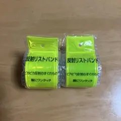 Item thumbnail for item f441d0ce-21d3-4014-bc89-d4814facbef8