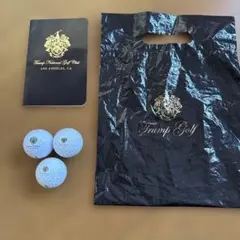 Item thumbnail for item f5585d93-16aa-4752-9943-5ae7f0d3fc11