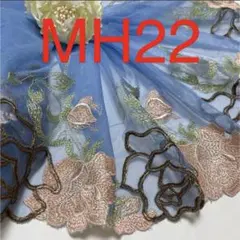 Item thumbnail for item 6564bb61-cf2d-430a-9a9a-4f1965d358df