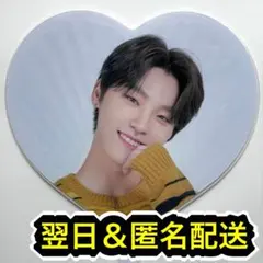 seventeen caratland 2020 うちわ　団扇　ピケット　ディノ