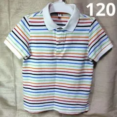 ユニクロ ストライプ ポロシャツ 120cm