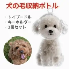 トイプードル 犬の毛収納 ボトル 2個 犬友ギフト キーホルダー けだまだま