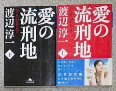 愛の流刑地 上・下 2冊セット