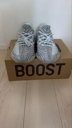 Adidas Yeezy Boost 350 V2 Blue Tint