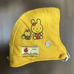 Item thumbnail for item de8e473d-121e-4402-9602-c1a160e94d5c