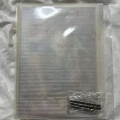 鬼滅の刃　竈門炭治郎A賞