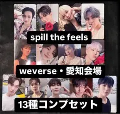 seventeen STF weverse 愛知 会場 トレカ 13種コンプ④
