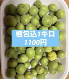 無農薬・朝獲れ青梅　梱包込1キロ程度のサムネイル