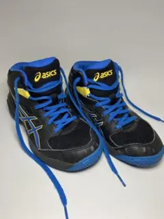 asics アシックス ダンクショットTBF139 ブラック×ブルー21.0cm